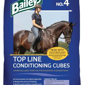 Baileys NO4 Topline Conditioning Cubes