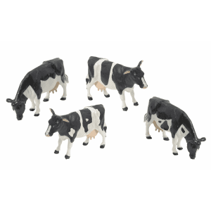 Fresian Cattle