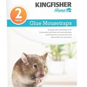 Glue Mousetraps (2pk)