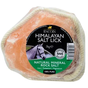 Himalayan Salt Lick