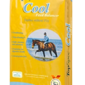 TopSpec Cool Balancer