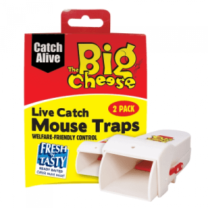 Live Catch Mouse Traps (2pk)