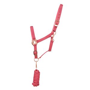 Hy Equestrian Rose Gold Head Collar & Lead Rope: Blush Pink