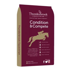 Thunderbrook condition & compete