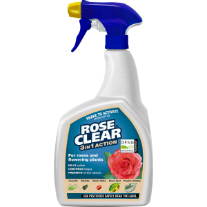 Rose Clear 3in1 800ml