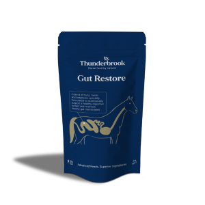 Gut Restore 1KG, 3KG