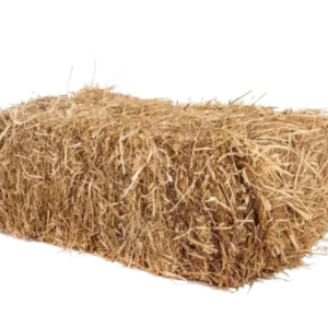 Hay Bale