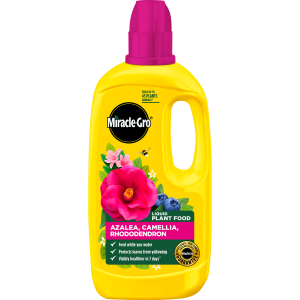 Miracle gro Azalea, Camellia & Rhododendron 800ml