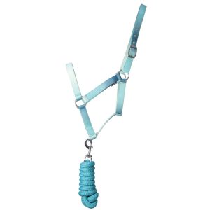 Hy Equestrian Ombre Head Collar & Lead Rope: Teal