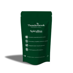 Organic Spirulina pratensis (powdered algae) 1KG