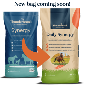 Thunderbrook Synergy