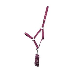 Hy Equestrian Synergy Head Collar & Lead Rope: Fig/Silver